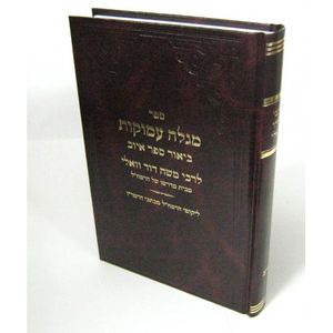מגלה עמוקות - איוב
