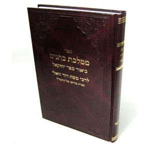 ממלכת כהנים - יחזקאל