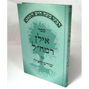 אילן רמח"ל שורש האילן