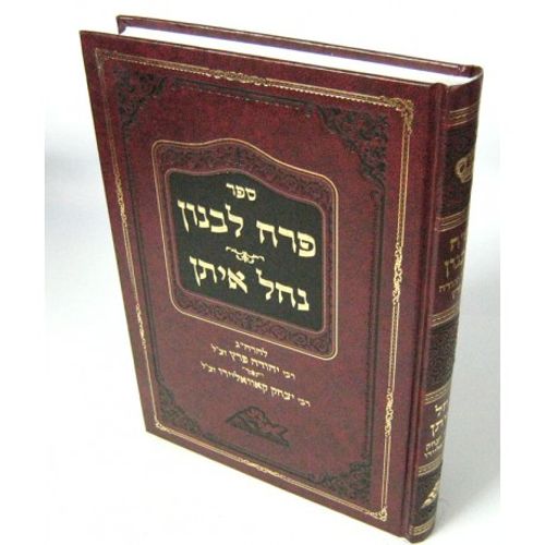 פרח לבנון - נחל איתן