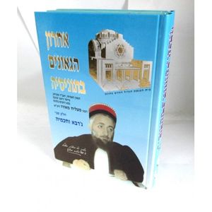 אחרון הגאונים בתוניסיה חלק ב