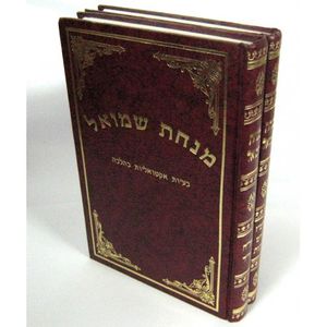 מנחת שמואל בעיות אקטואליות בהלכה ב"כ