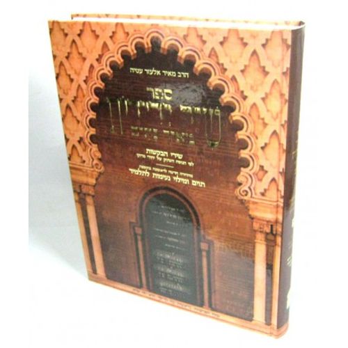 שיר ידידות מאיר נתיב א'