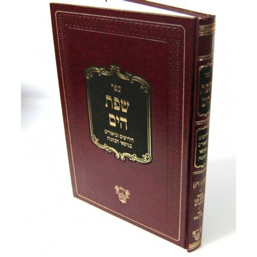 שפת הים - שובבי