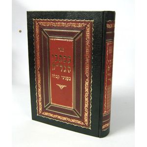 בכתבי הגר"א