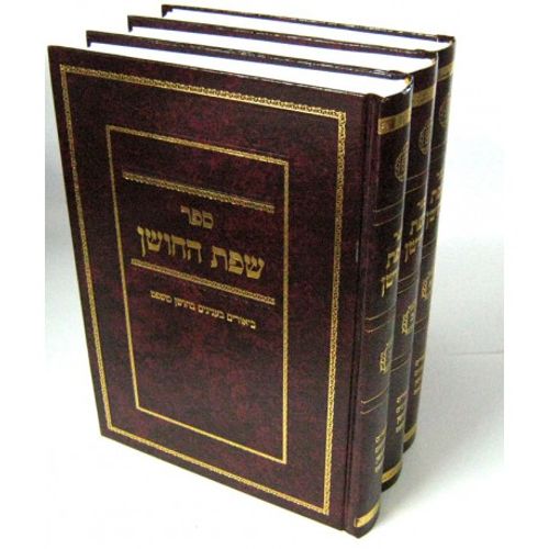 שפת החושן ג