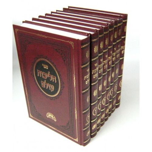 הליכות עולם ח