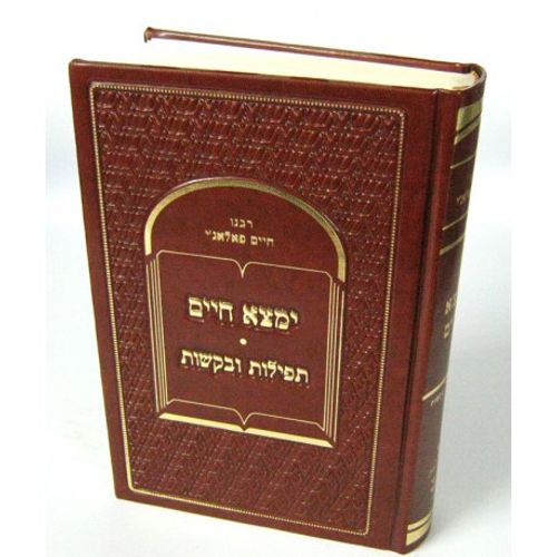 ימצא חיים