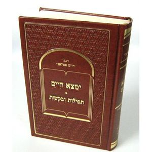 ימצא חיים