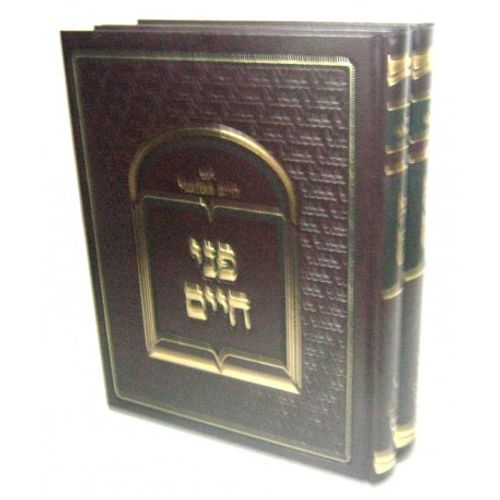 פני חיים - גנזי חיים ב