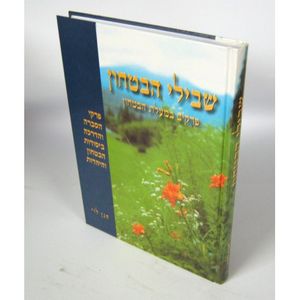 שבילי הבטחון