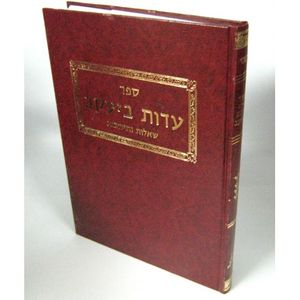 שו"ת עדות ביעקב