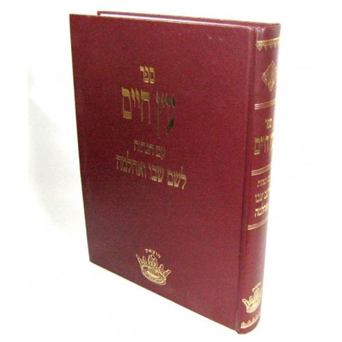 עץ חיים - החיים והשלום