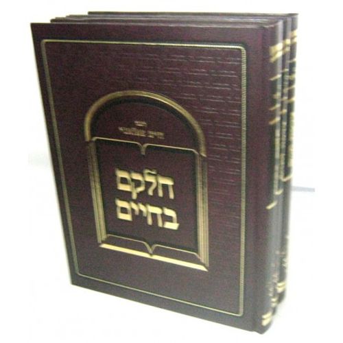 חלקם בחיים - צדקה חיים - צדקה לחיים ג