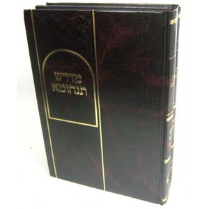 מדרש תנחומא מנוקד ב"כ