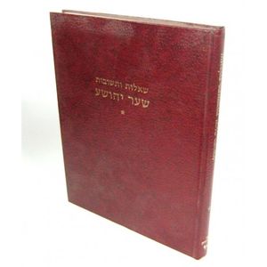 שו"ת שער יהושע חלק א