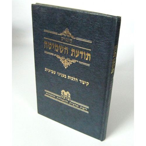 תודעת השמיטה - אברכי כולל רחובות