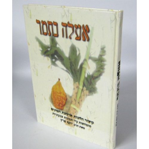 אעלה בתמר