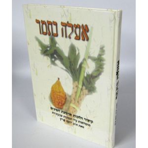 אעלה בתמר