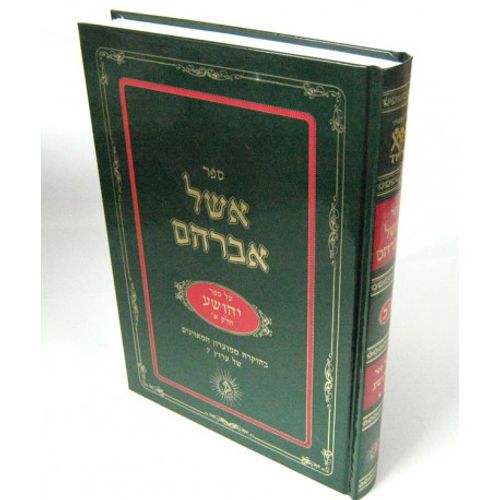 אשל אברהם - יהושע י