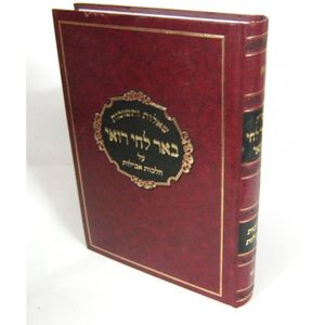 באר לחי רואי - אבלות