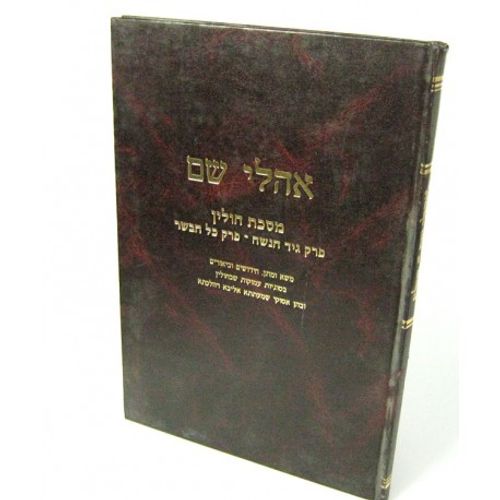 אהלי שם - חולין