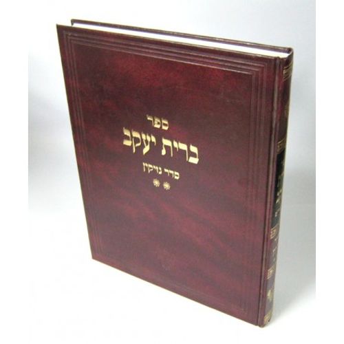 ברית יעקב - סדר נזיקין