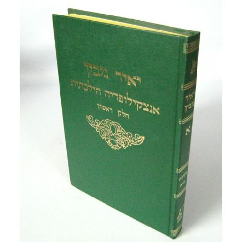 יאיר מבין א' - ר' יוסף בןנון Yair Mevin vol 1 - R.Yossef Binun