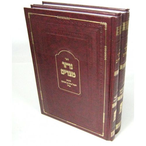 נהר מצרים ב
