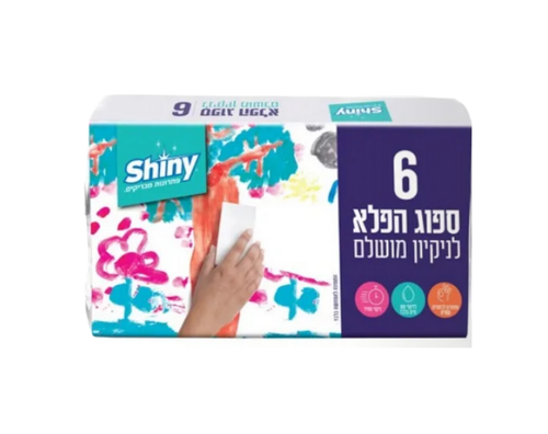 ספוג פלא | 6 יחידות