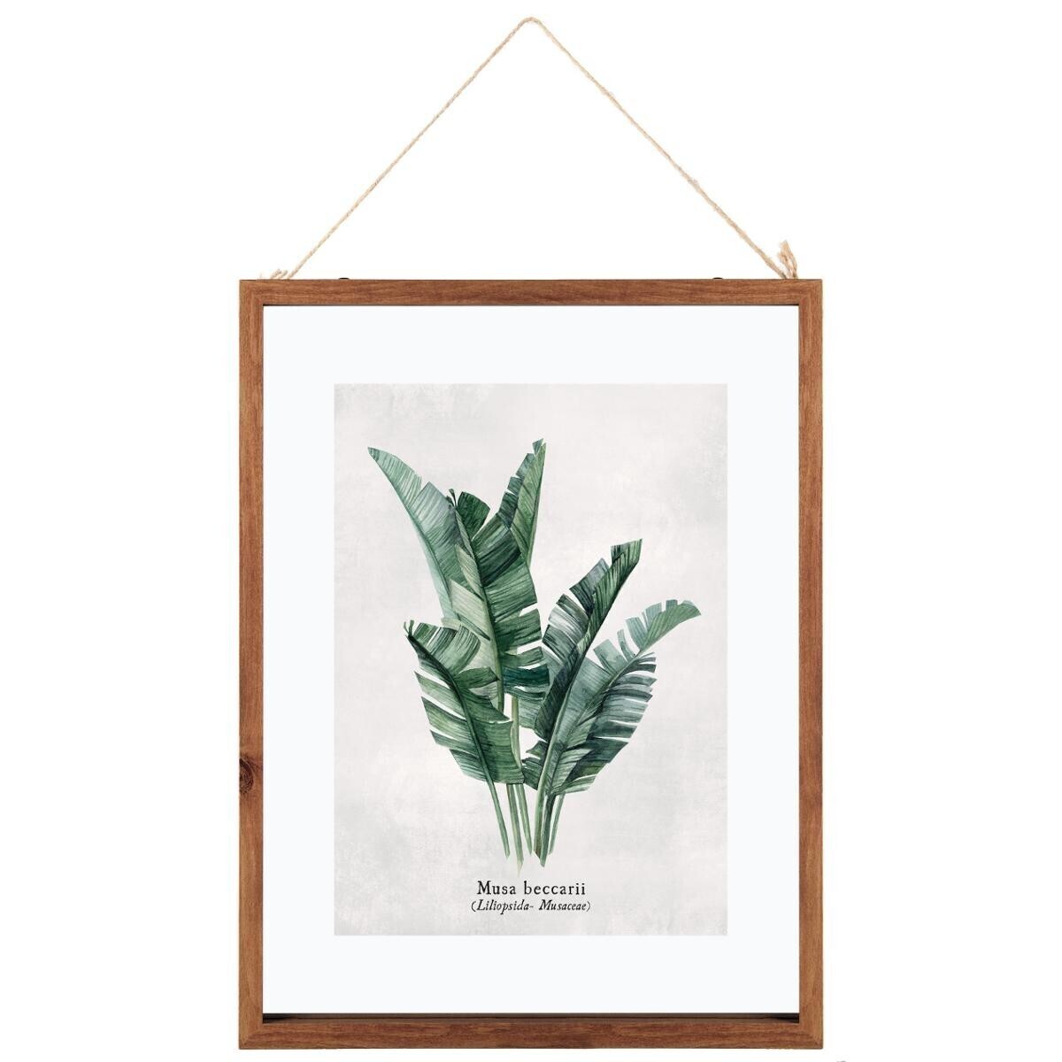 מסגרת עץ זכוכית כפולה- אלודי עץ בננה
