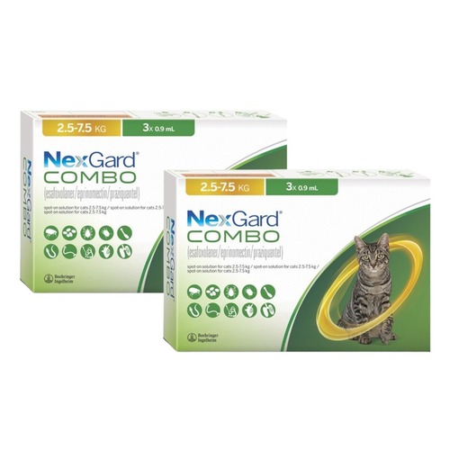 NexGard קומבו אמפולה - טיפול בפרעושים וקרציות לחתולים