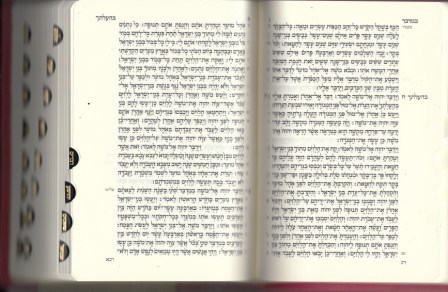 תנ
