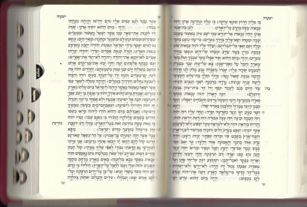 תנ