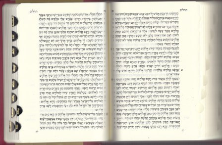 תנ