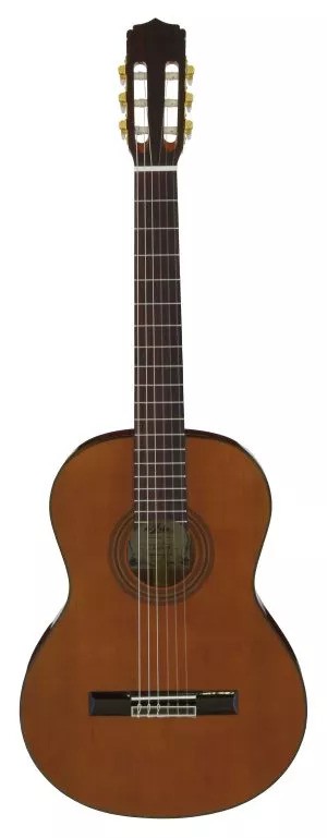 גיטרה קלאסית סוליד טופ Aria A-20