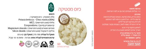 כיוס מסטיקה