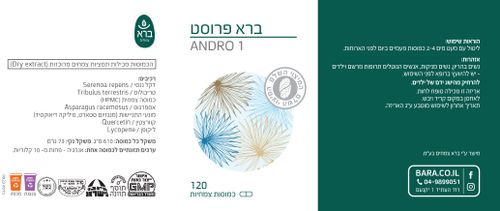 ברא פרוסט