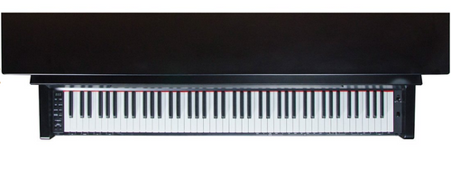 פסנתר חשמלי עומד F-80 מסדרת MUSICIAN עם מקלדת איטלקית FATAR בצבע שחור מבית Pearl River