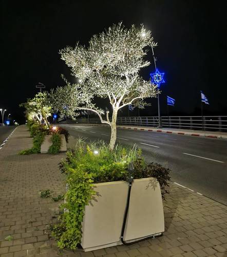 תמונה להמחשת יישום בפרויקט גשר הפקולטה החקלאית רחובות