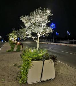 תמונה להמחשת יישום בפרויקט גשר הפקולטה החקלאית רחובות