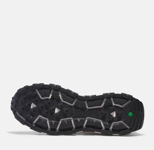 נעלי טימברלנד Timberland WINSOR TRAIL | גברים