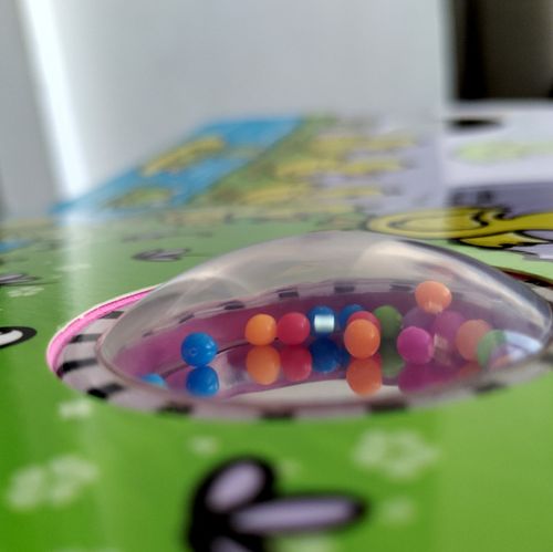 קשקשן הפטפוטים הראשונים שלי