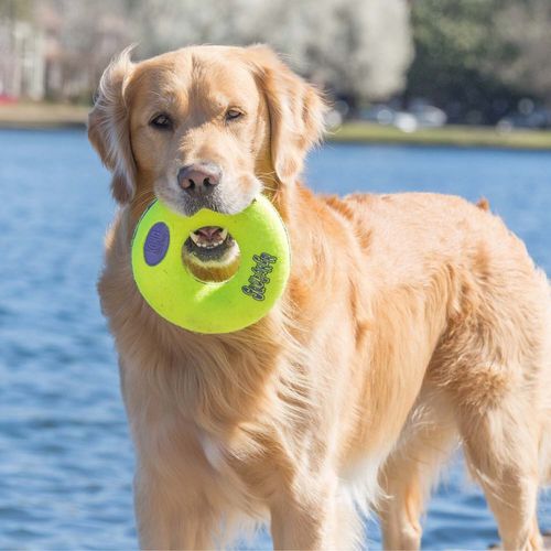 קונג סקוויקר - משחק דונאט עם צפצפה  לכלבים 