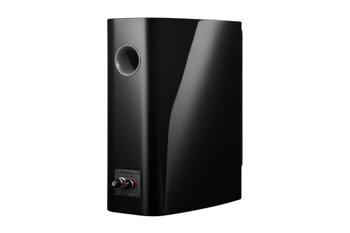 Dynaudio Contour 20i walnut