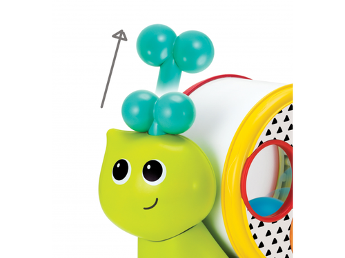חילזון משיכה והתאם צורה