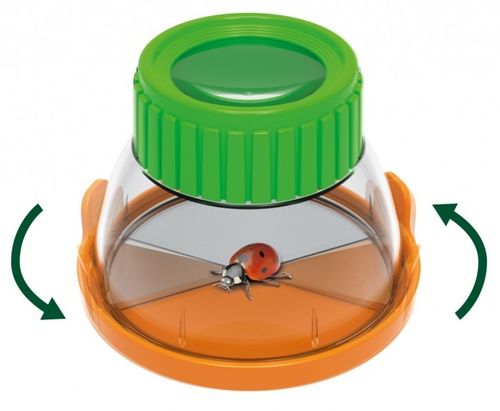 טרריום / מיכל שקוף ליצירת בית גידול וחקר חרקים, מעופפים וזוחלים עם זכוכית מגדלת