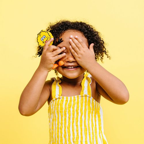 חברים זוהרים באמבטיה רחוב סומסום - שתי קוביות זוהרות במים ובובת חבר אבי ביג בירד