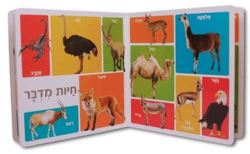 ספר מאה מילים ראשונות - חיות