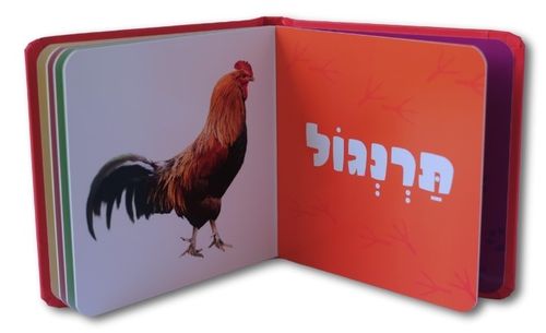 ספר החיות הראשון שלי 